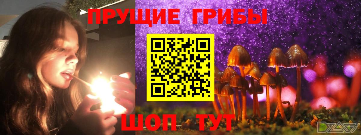 как найти   Вход с VPN  Нарткала  Псилоцибиновые грибы прущие грибы 